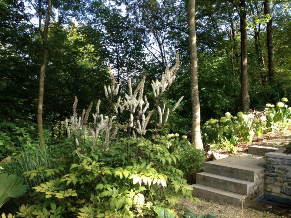 Ardenne Bnb Marche-en-Famenne Luaran gambar